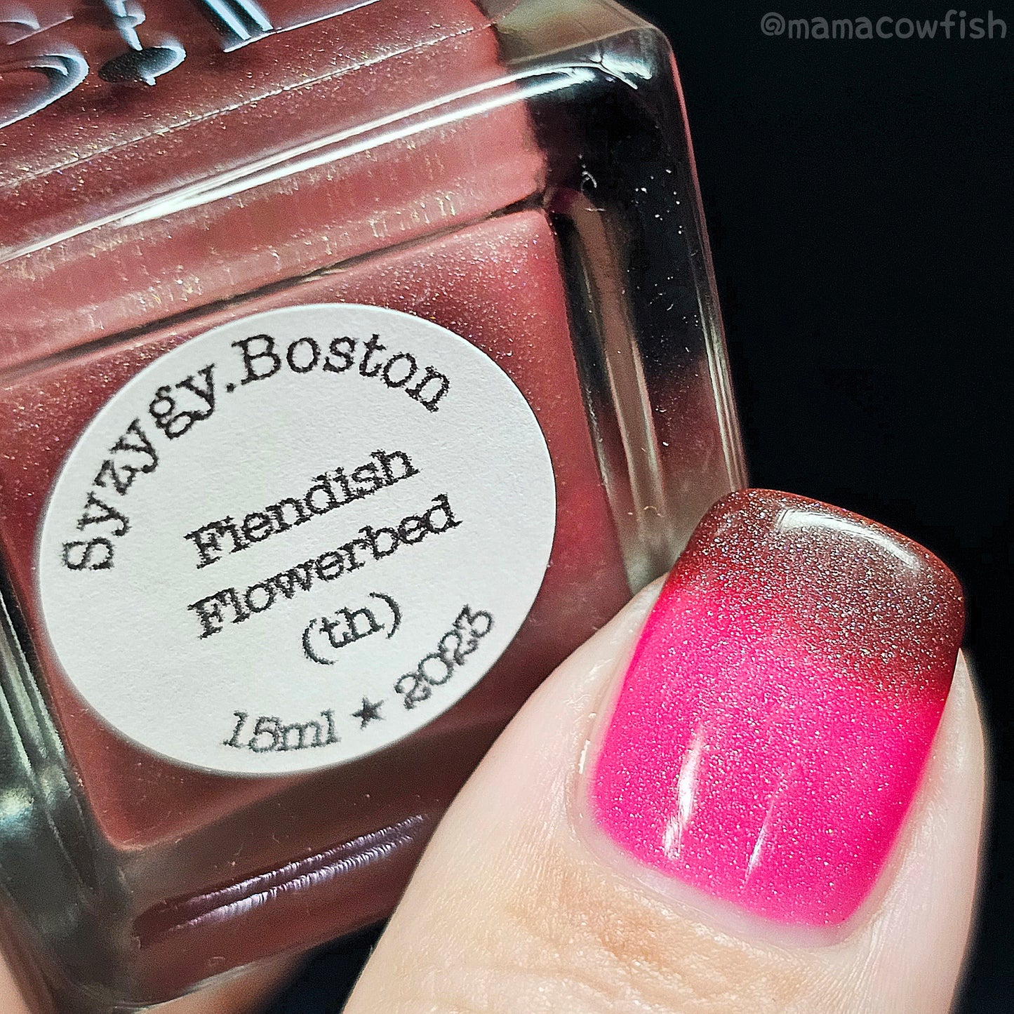 Fiendish Flowerbed - Syzygy.Boston