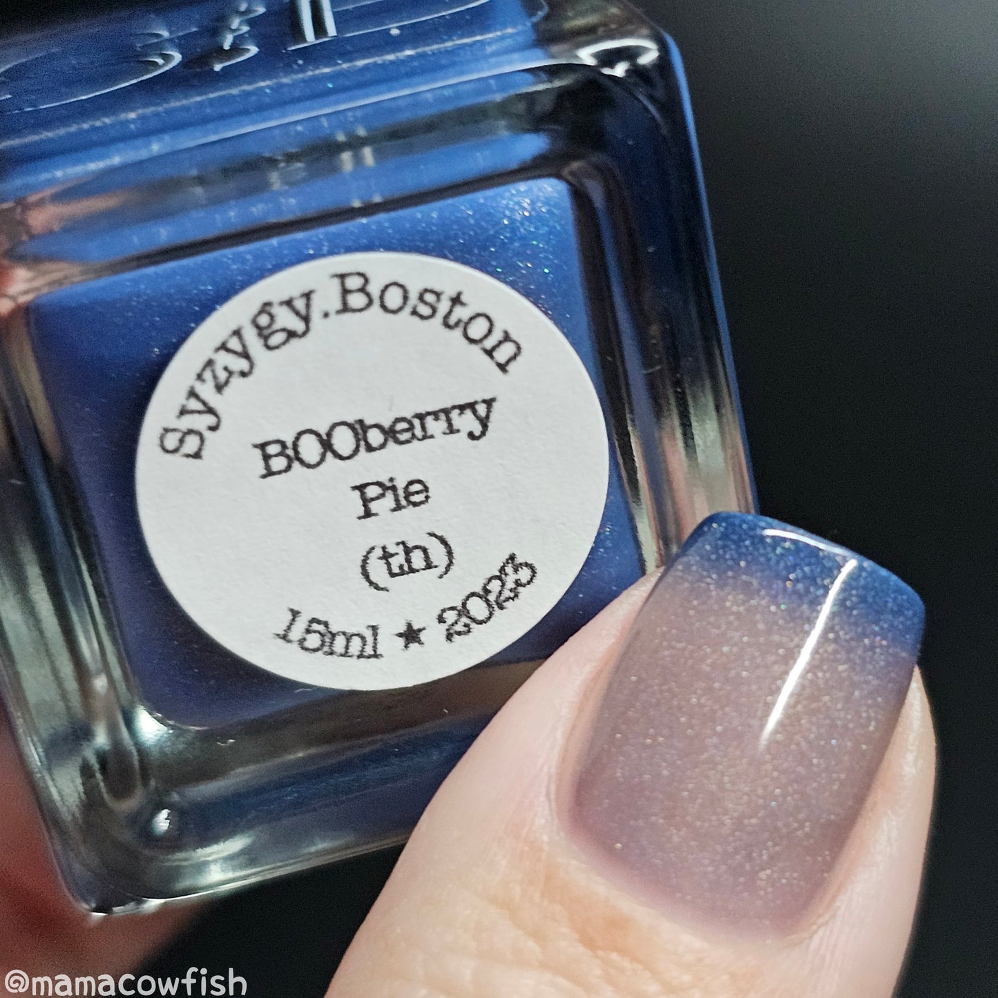BOOberry Pie - Syzygy.Boston
