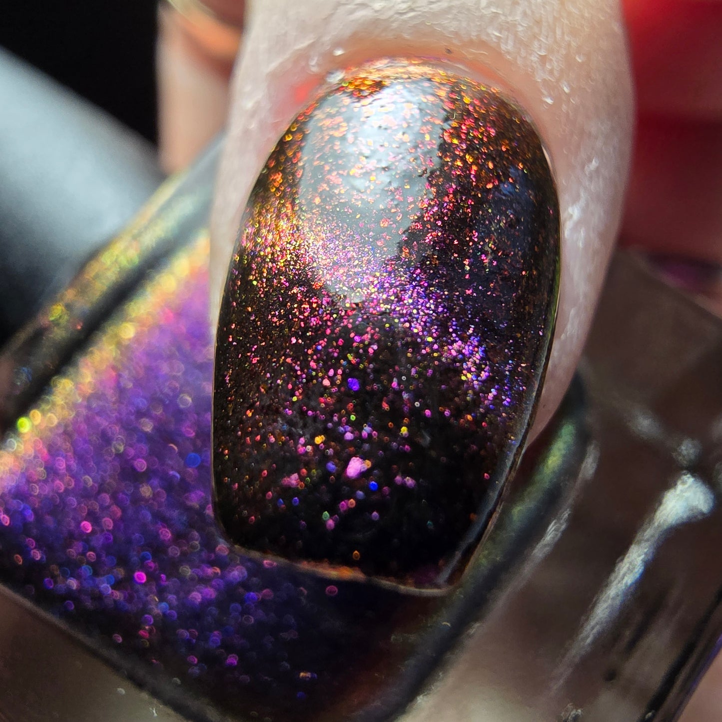 Purple Pinktoe - Syzygy.Boston