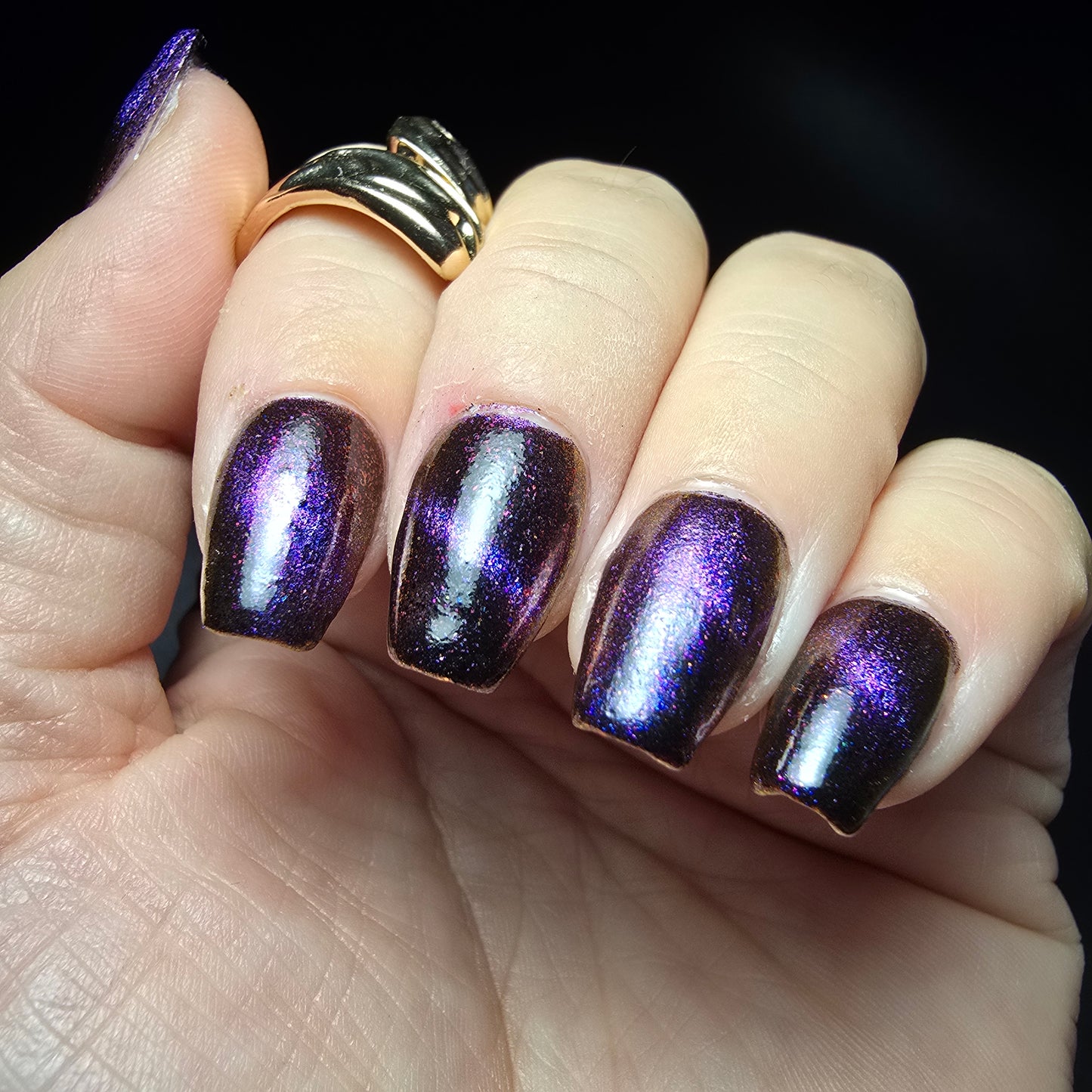 Purple Pinktoe - Syzygy.Boston