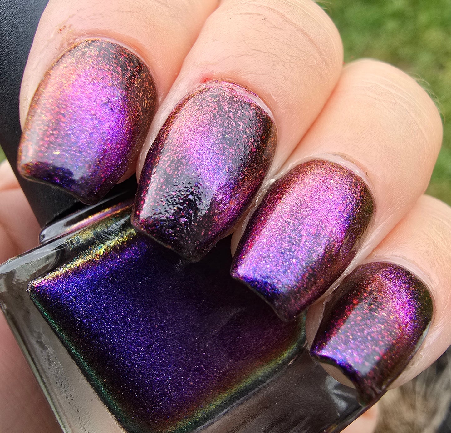 Purple Pinktoe - Syzygy.Boston
