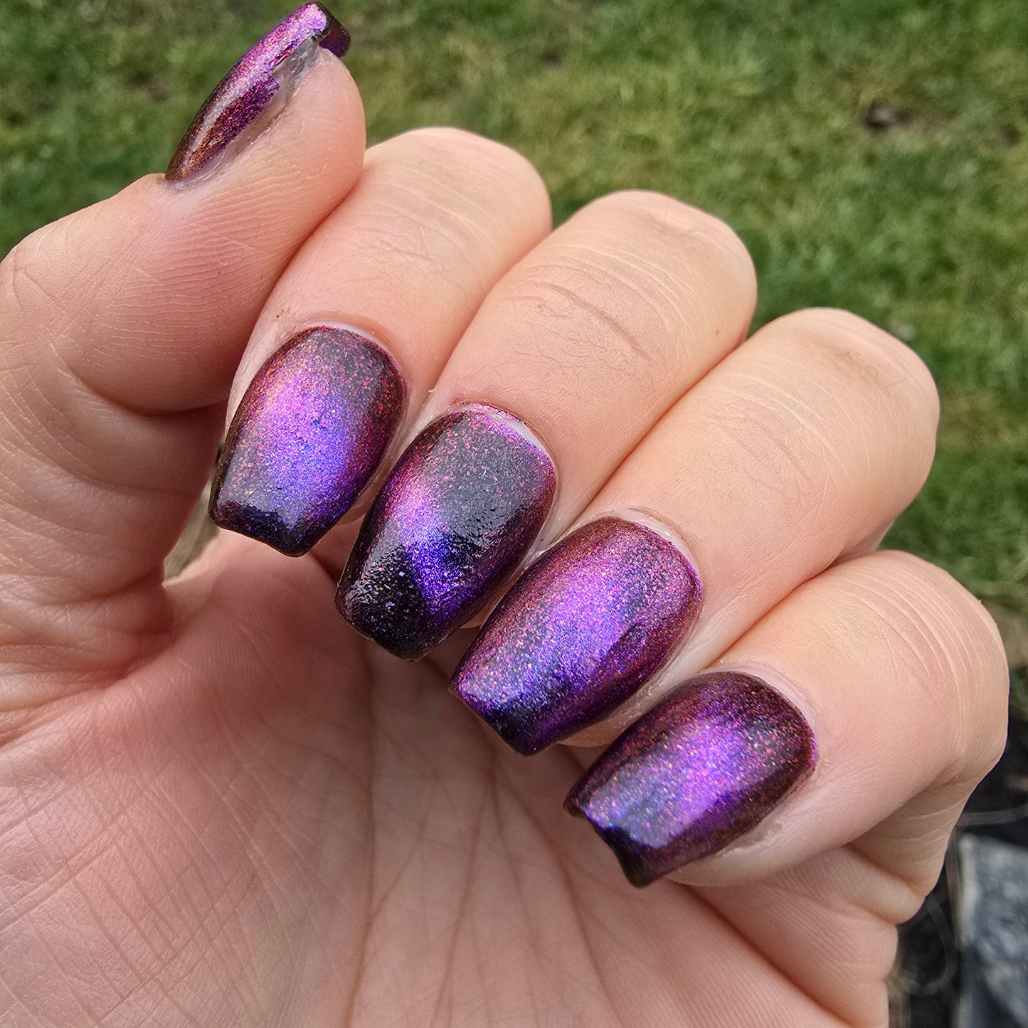 Purple Pinktoe - Syzygy.Boston