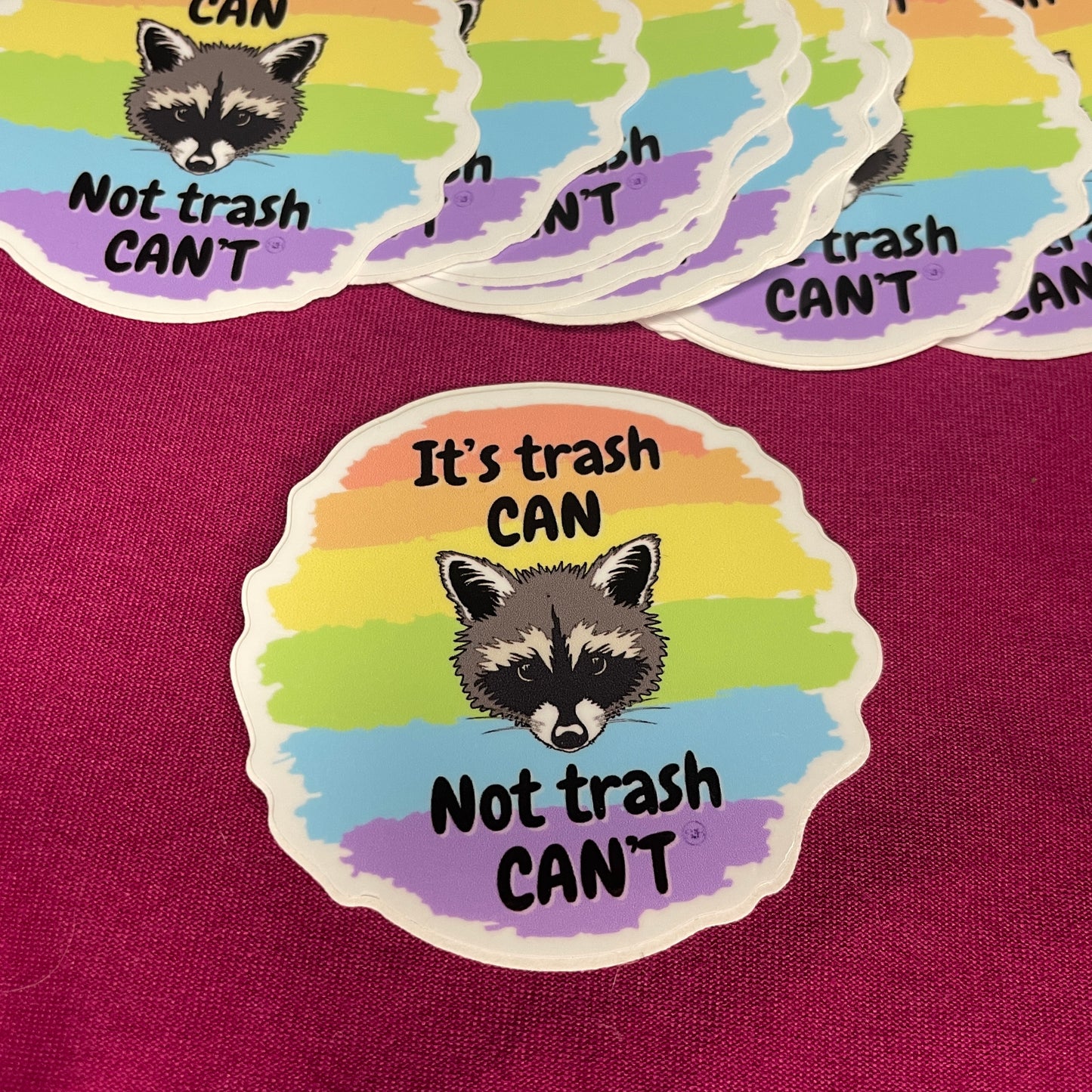 "trash CAN not trash CAN'T" Vinyl Raccoon Sticker - Syzygy.Boston