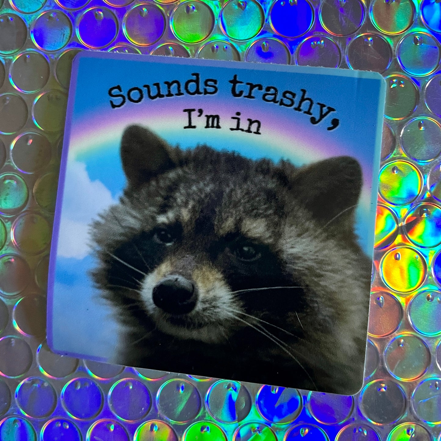 "Sounds Trashy, I'm In" Raccoon Sticker - Syzygy.Boston