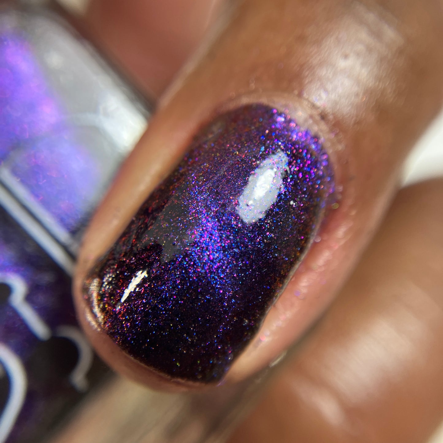 Purple Pinktoe - Syzygy.Boston