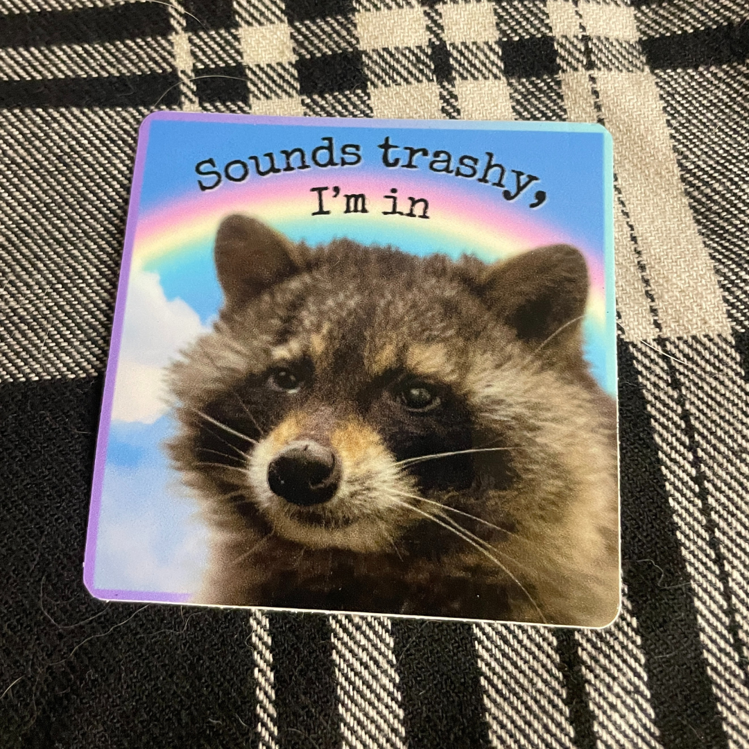 "Sounds Trashy, I'm In" Raccoon Sticker - Syzygy.Boston