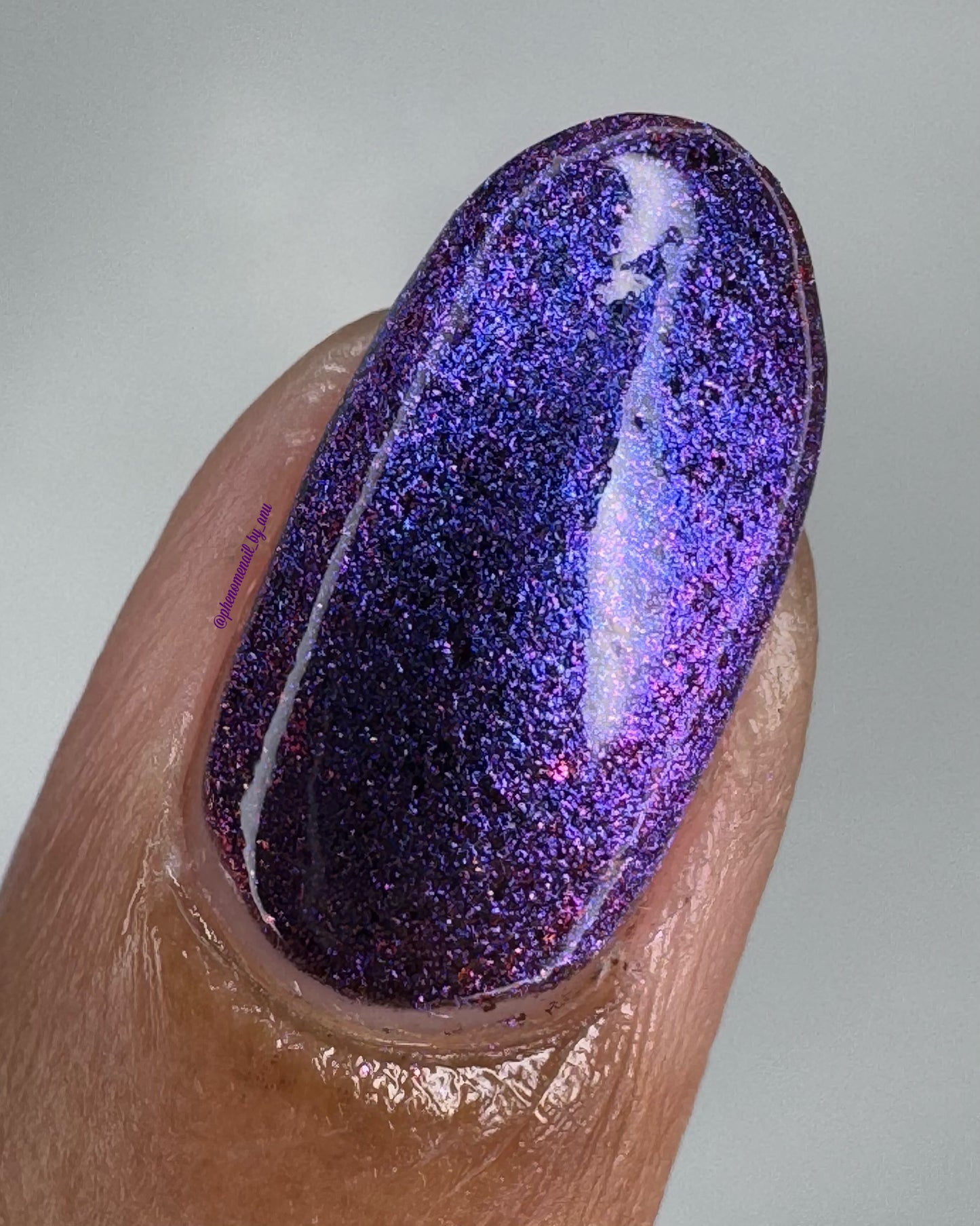 Purple Pinktoe - Syzygy.Boston
