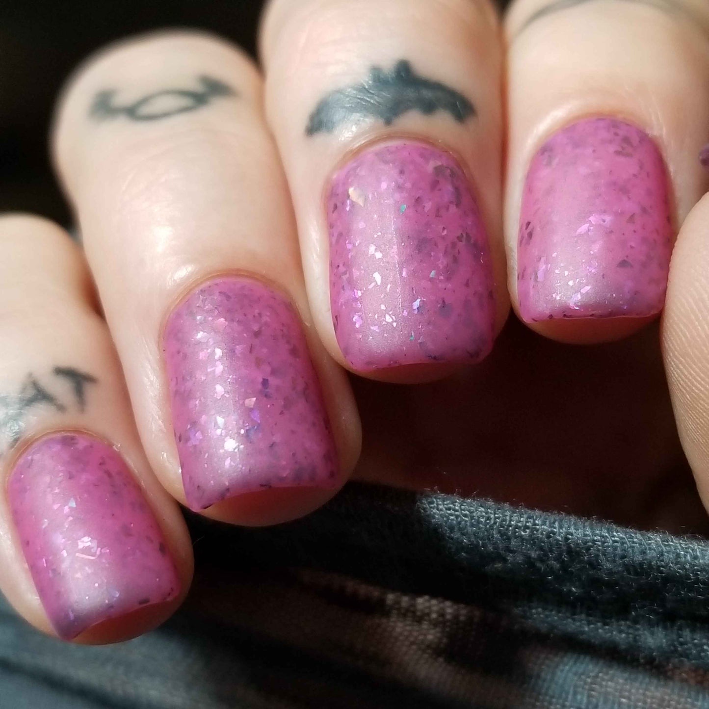 Pink Robin
