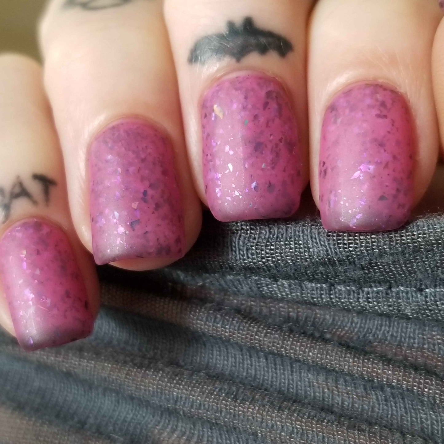 Pink Robin