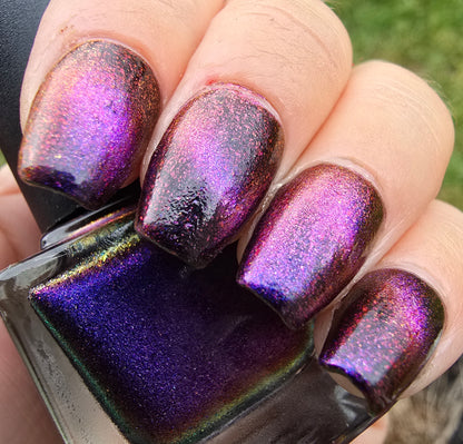 Purple Pinktoe - Syzygy.Boston
