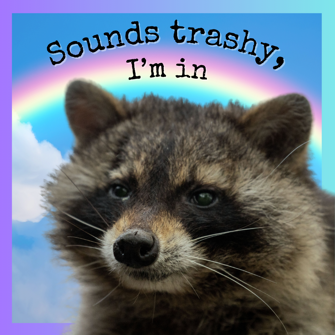 "Sounds Trashy, I'm In" Raccoon Sticker - Syzygy.Boston