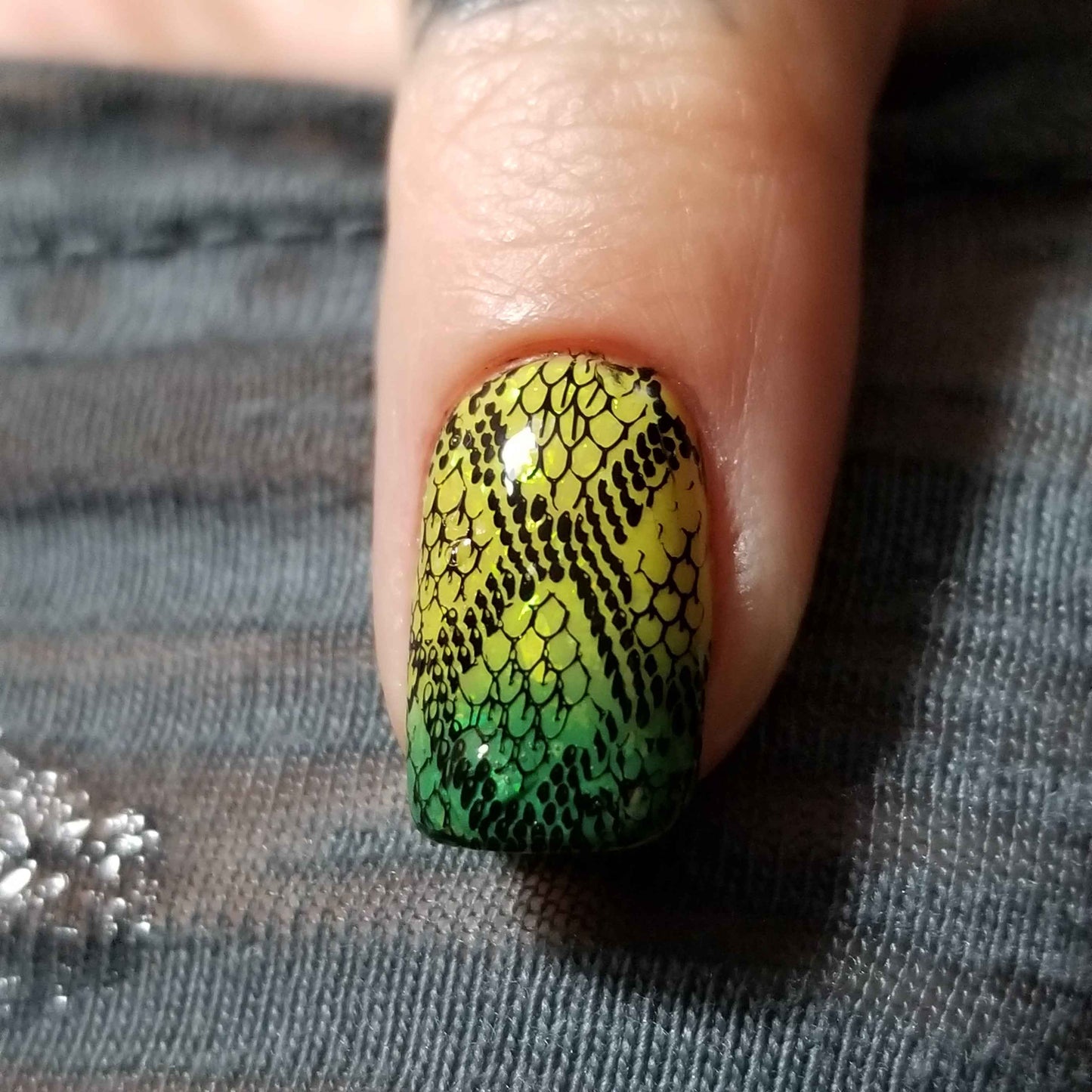Green Tree Python