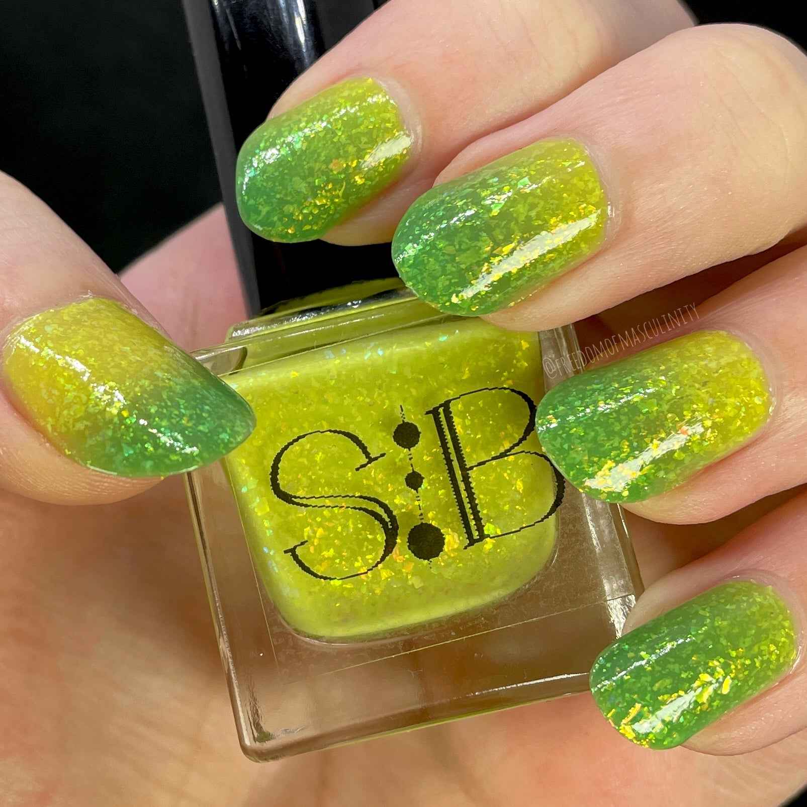 Green Tree Python