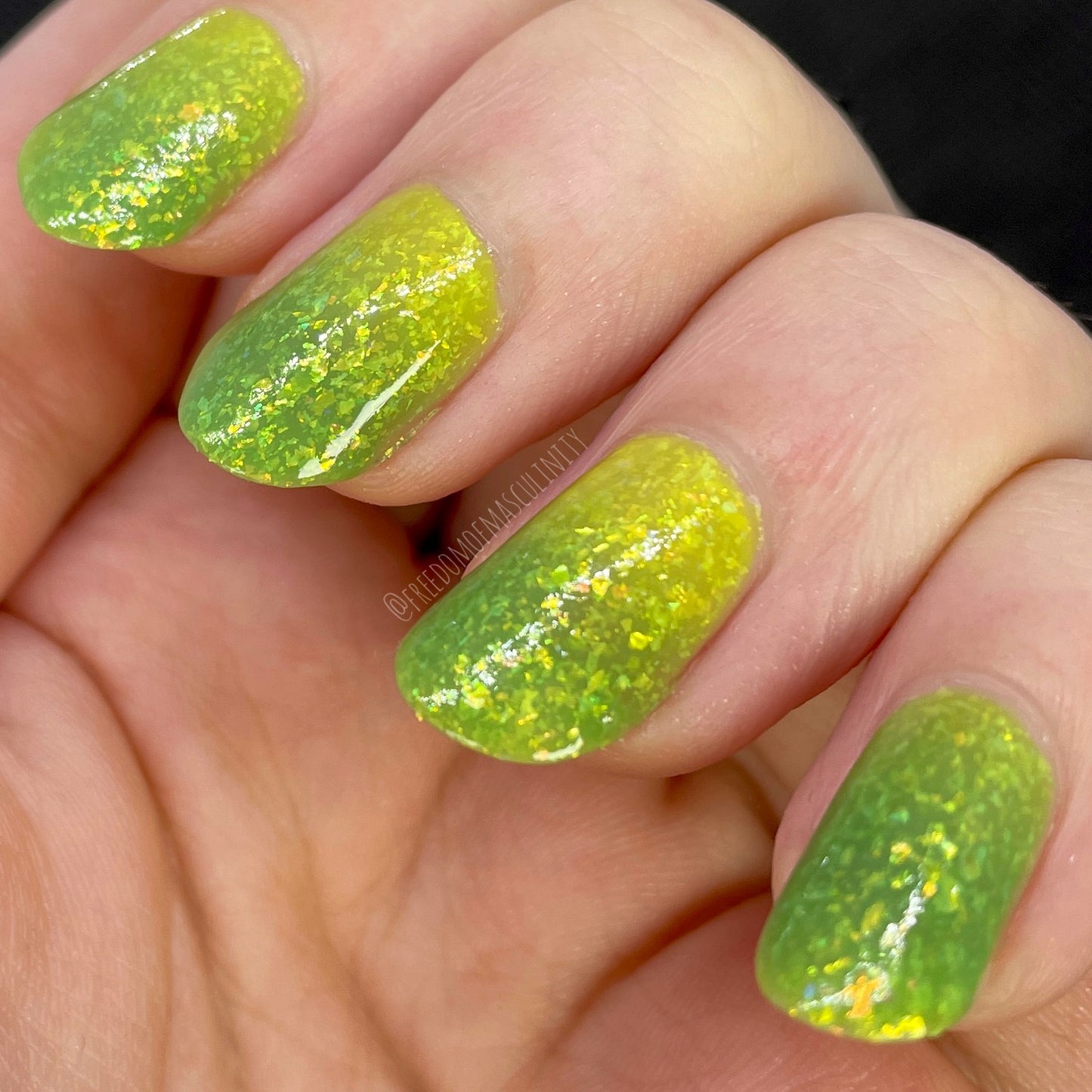 Green Tree Python