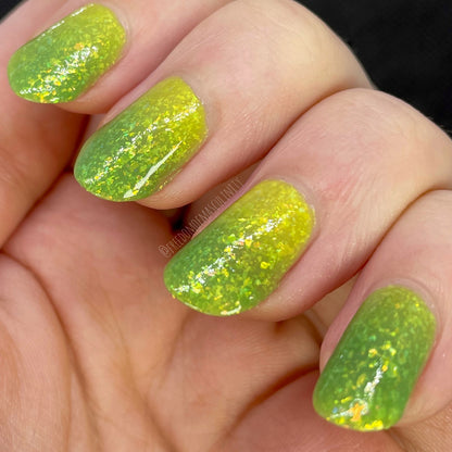 Green Tree Python