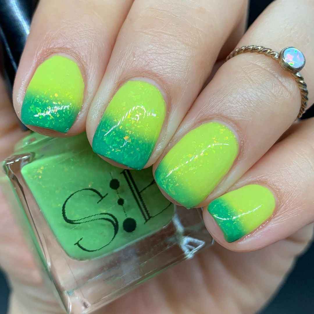 Green Tree Python
