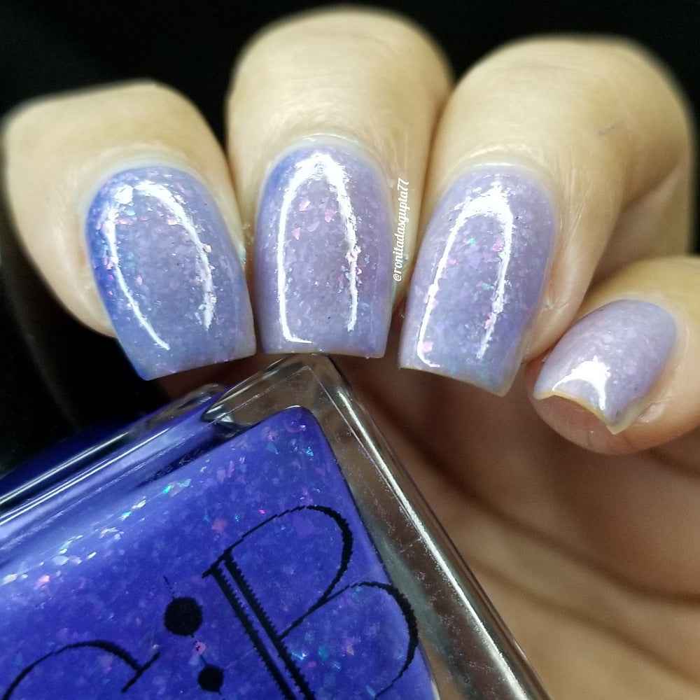 Violet Sea Snail