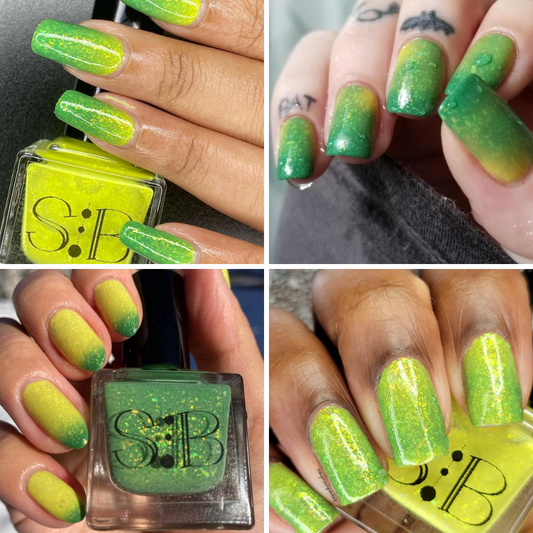 Green Tree Python