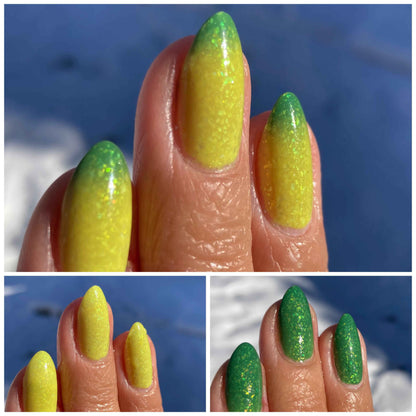 Green Tree Python