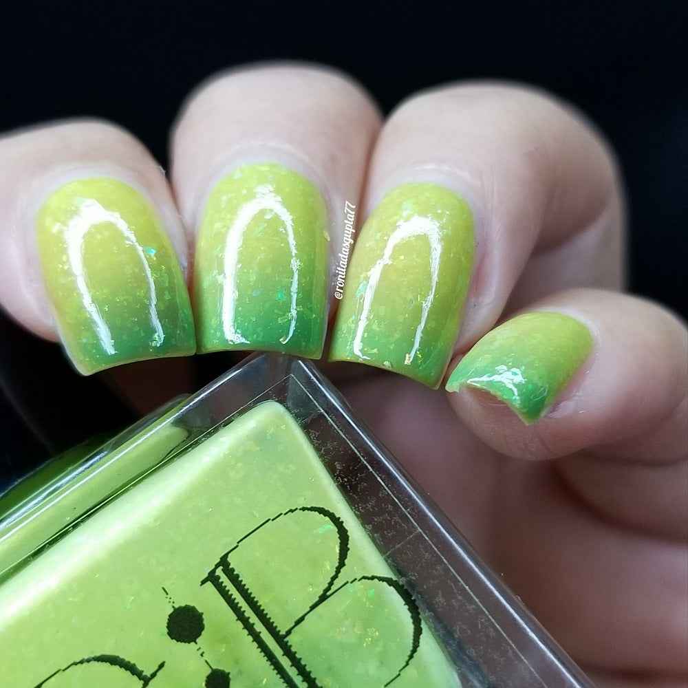 Green Tree Python