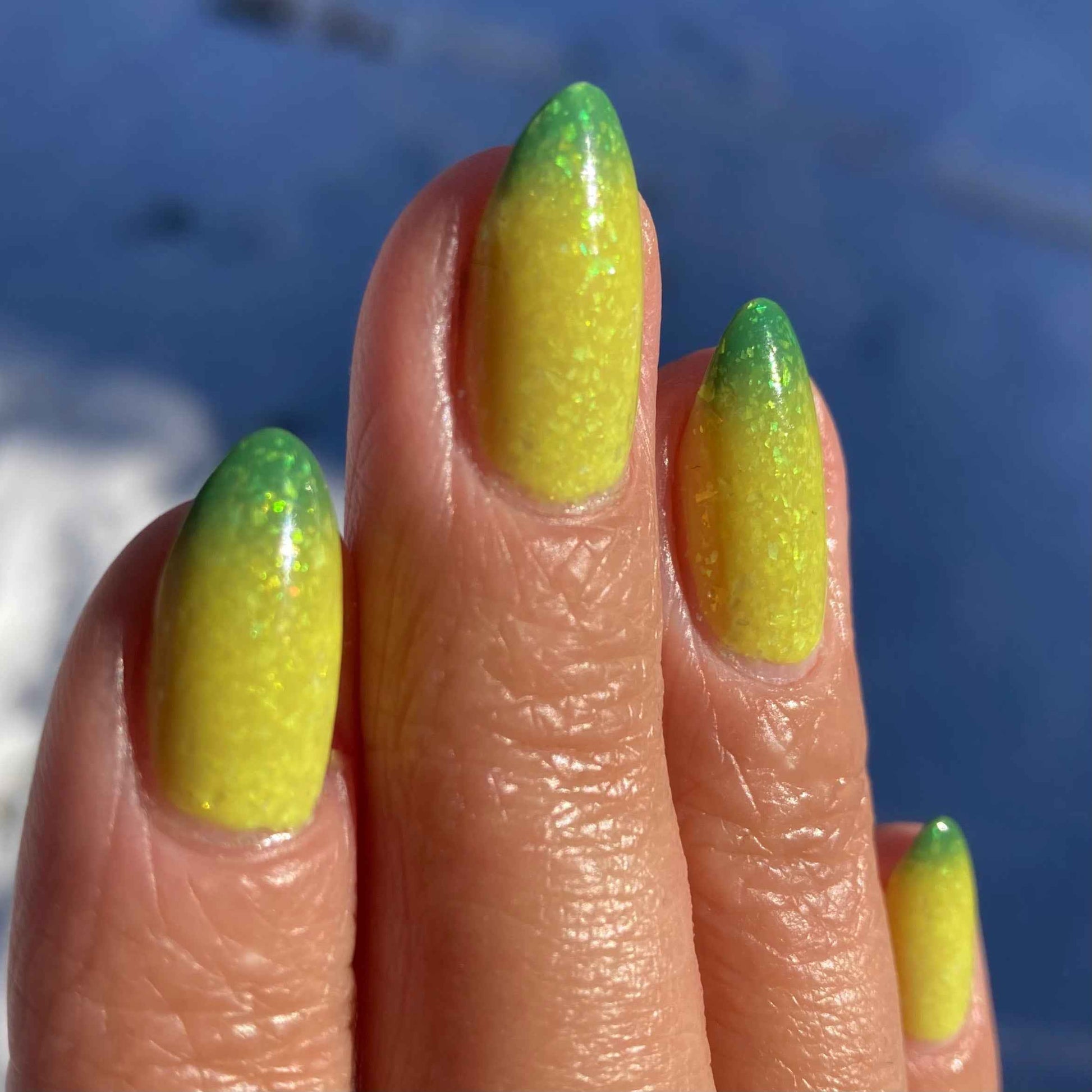 Green Tree Python
