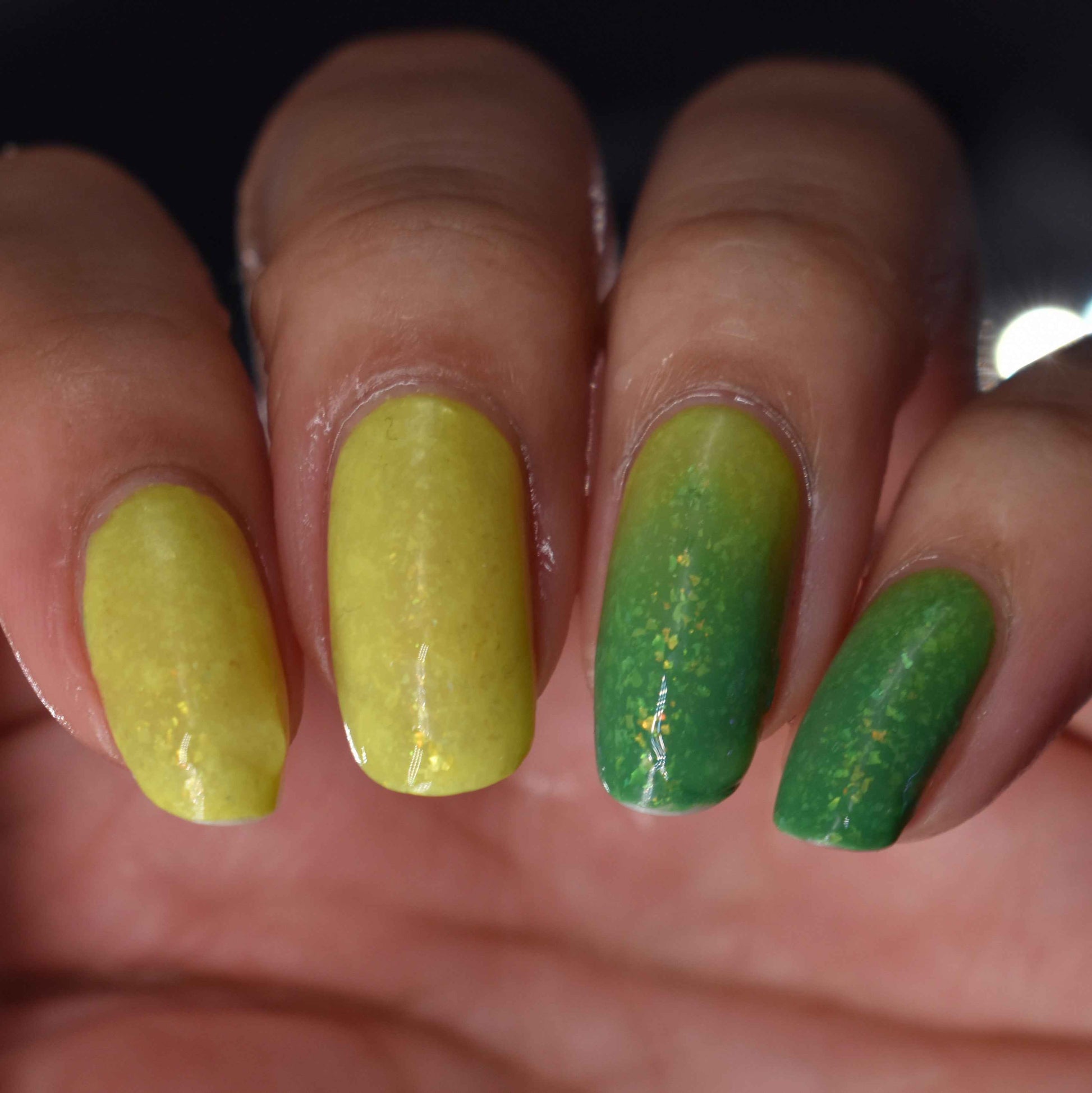 Green Tree Python