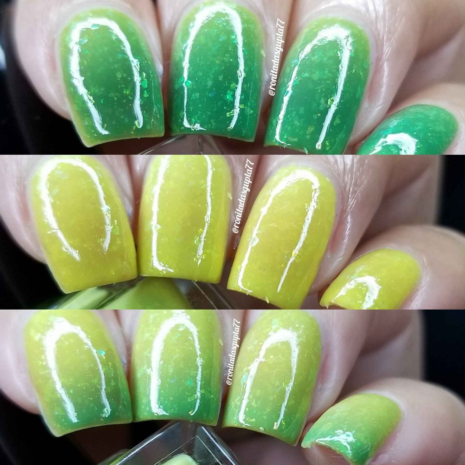 Green Tree Python
