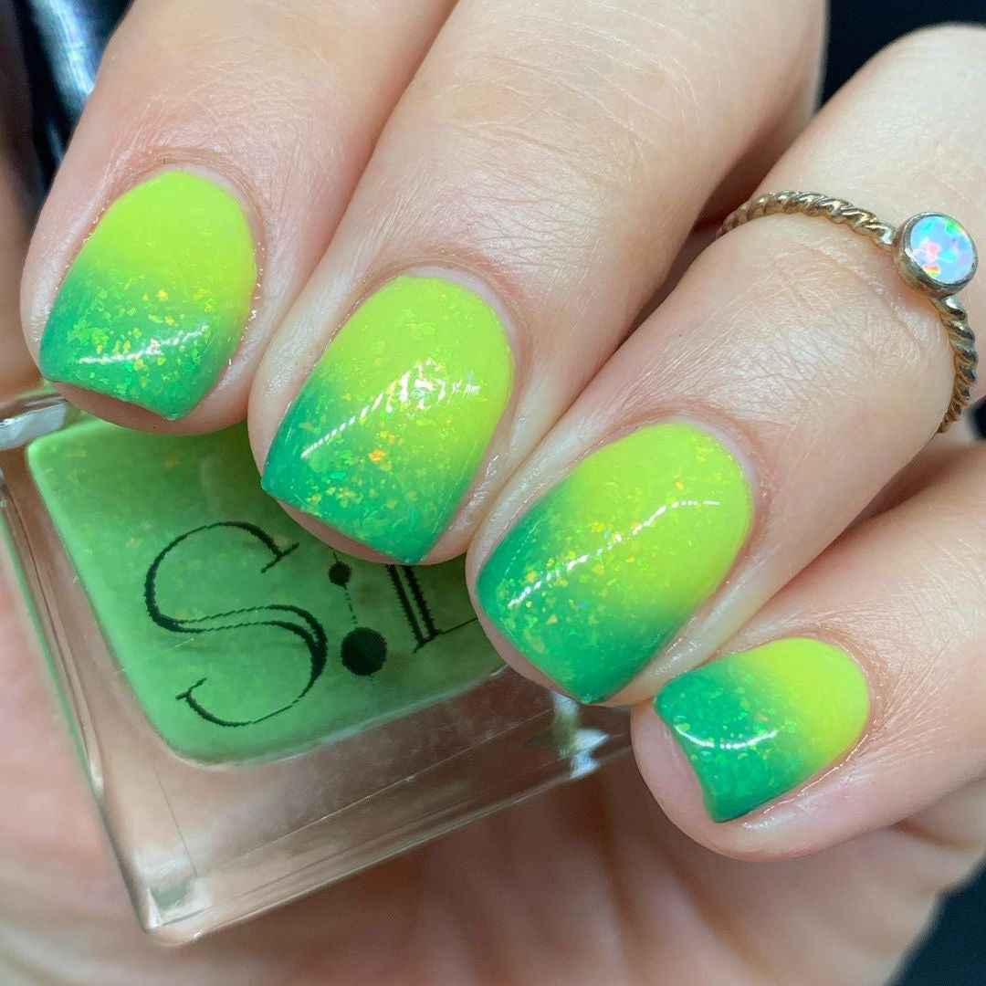 Green Tree Python