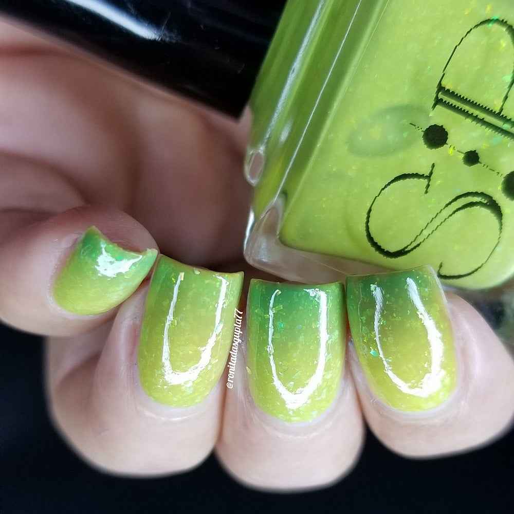 Green Tree Python