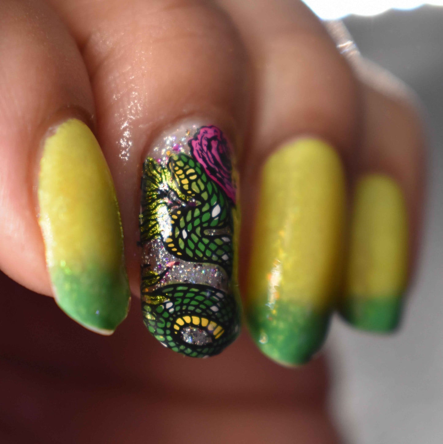 Green Tree Python